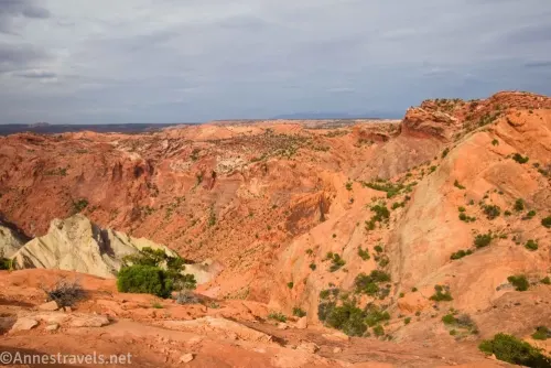 Orange and red slickrock with bushes growing in it below cloudy skies around Upheaval Dome