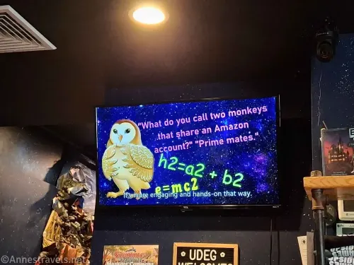 An owl narrating the introductory video for the Nocturnal Keep at the Upside Down Escape Games on Cape Cod, Massachusetts