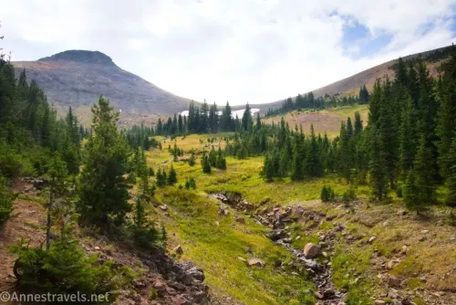 Meadows and a stream below Republic Pass and Republic Peak in the Beartooth Mountains near Cooke City, Montana