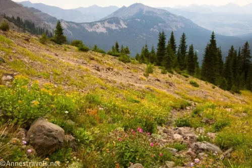 Meadows with rocks and wildflowers below Republic Pass on the Wyoming-Montana border above the Beartooth Highway