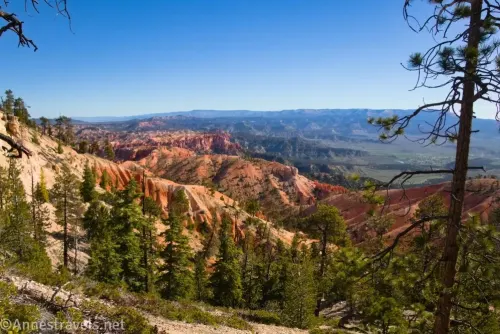 Broad and scenic views of colorful hills near Bryce Amphitheater from the Under the Rim Trail on the way to the Hat Shop in Bryce Canyon National Park, Utah