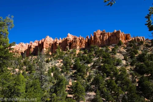 Hoodoo cliffs above the Under the Rim Trail near the Hat Shop in Bryce Canyon National Park, Utah