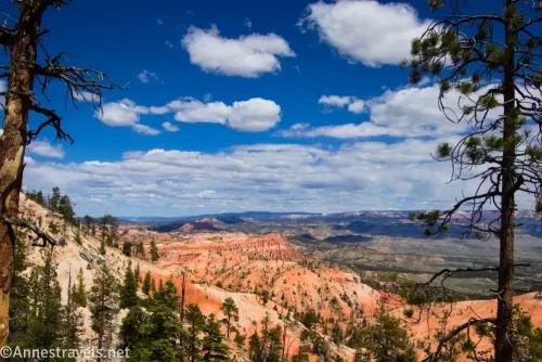 Clouds sail over the colorful hills of Bryce Canyon National Park from the Under the Rim Trail on my way back from the Hat Shop, Utah