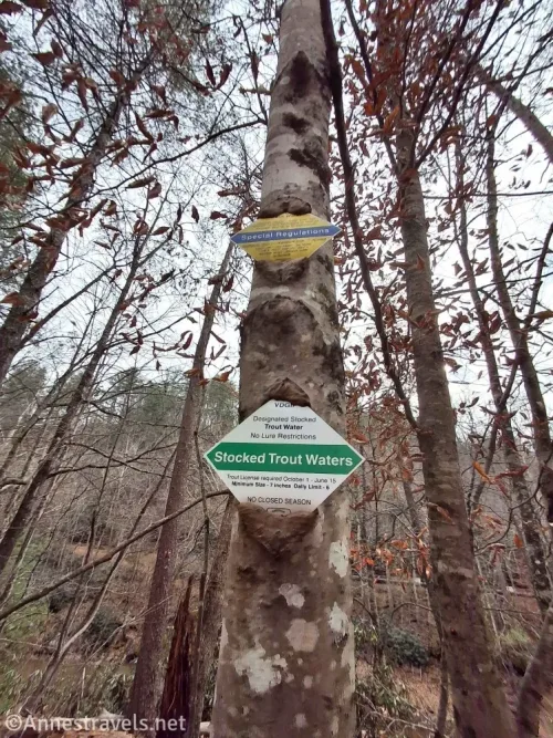 Signs on a tree about fishing in the Smith River near the Philpott Dam in Franklin County, Virginia 