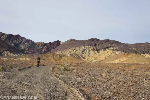 A hiker on an old gravel road toward Corkscrew Canyon, Death Valley National Park, California