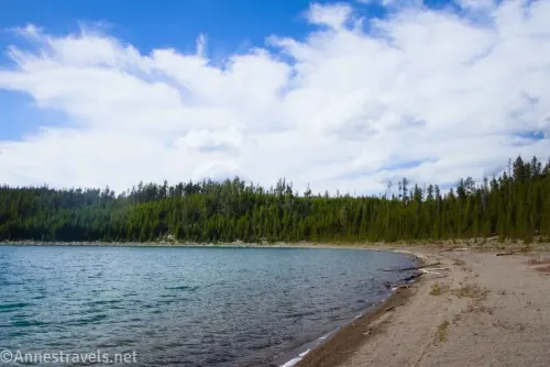 The gravel beach and treeline shoreline of Duck Lake, Yellowstone National Park, Wyoming