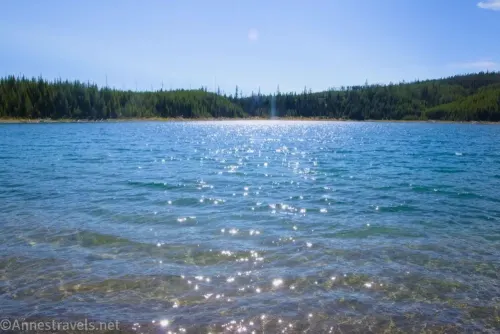 Sparkles on the ripples in Duck Lake, Yellowstone National Park, Wyoming