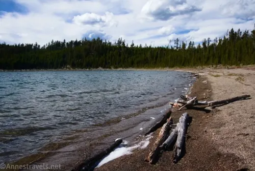 Driftwood on the pebbly shoreline of Duck Lake in Yellowstone National Park, Wyoming