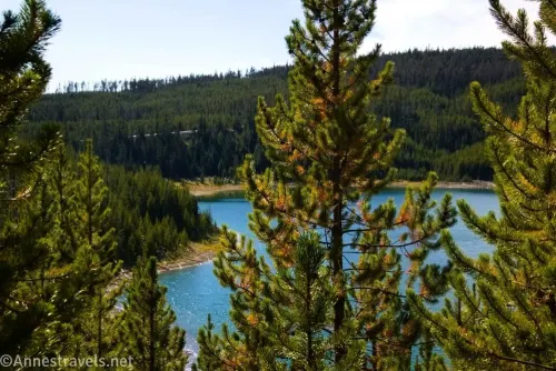 Views through the trees to Duck Lake in Yellowstone National Park, Wyoming