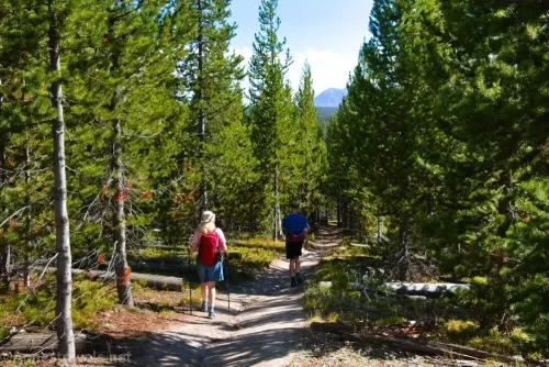 Two hikers surrounded by trees with views to mountains on the Duck Lake Trail in Yellowstone National Park, Wyoming