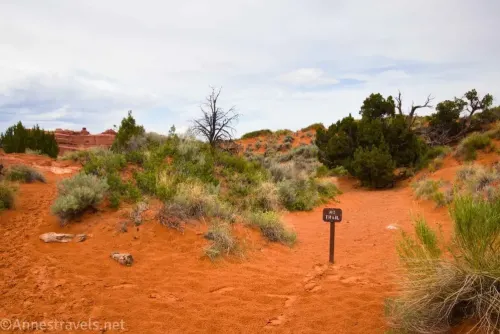 A sign saying No Trail in a wash beside the Primitive Loop on the way to Blocked and Crystal Arches in Arches National Park, Utah