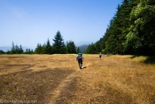 The Davison Trail between the beach and the cliffs in Prairie Creek Redwoods State Park, California