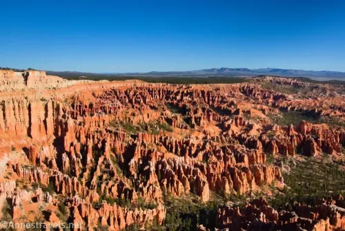 Hoodoos in Bryce Canyon below Bryce Point in Bryce Canyon National Park, Utah