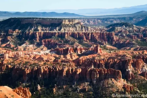 Hoodoos in Bryce Canyon National Park as seen from Bryce Point, Utah