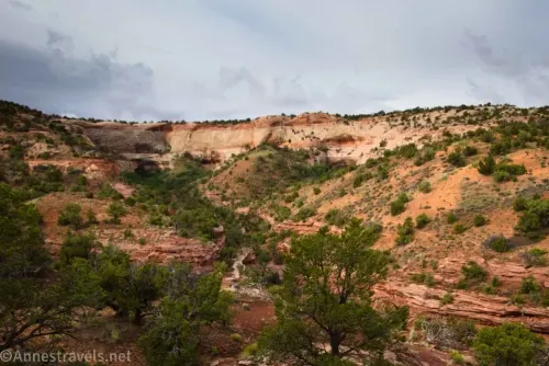 A desert valley ending at an alcove beneath cloudy skies
