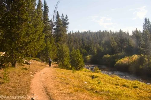 A hiker on a trail in a meadow surrounded by trees and beside a stream
