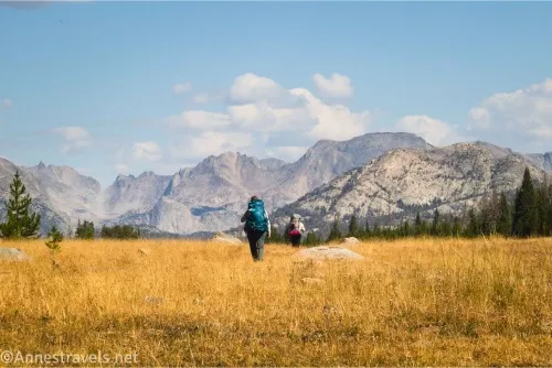 Two hikers in a yellow, grassy meadow with distant craggy mountains