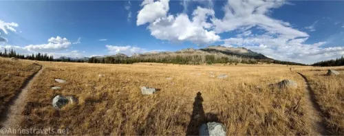 Panorama of the shadow of a hiker in a grassy meadow with a dirt path, mountains, and fluffy white clouds in a blue sky