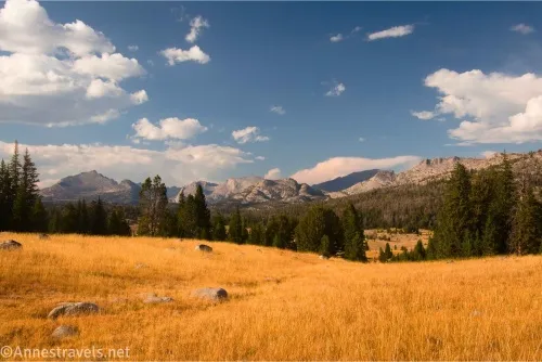 Yellow grassy meadows bordered by trees with mountains in the distance and clouds in the blue sky overhead