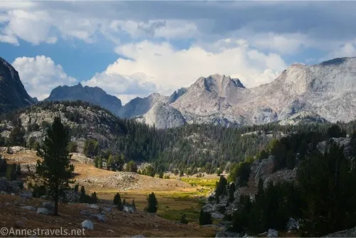 Rugged, rocky mountains below cloudy skies with a forested hill and grassy meadows in the foreground 