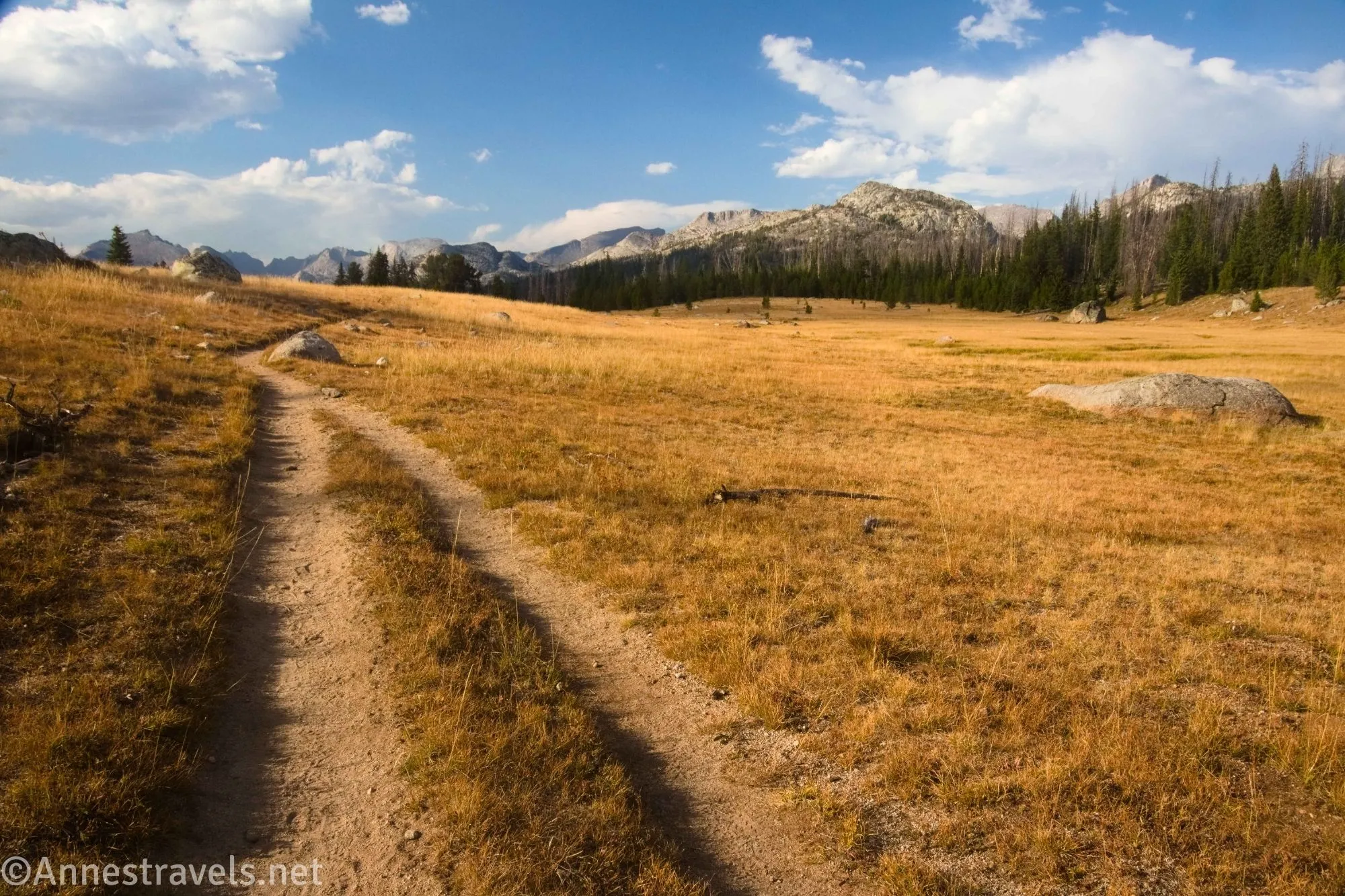 The two-tracked Dad's Lake Trail in yellow meadows with mountains and clouds in the sky in the distance 