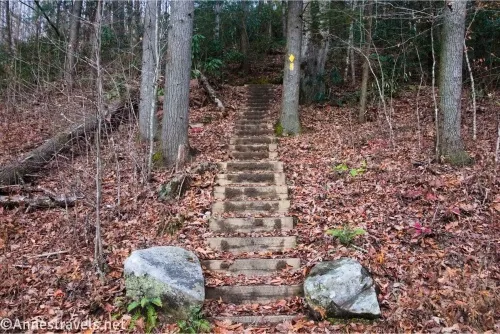 Wooden stairs on a leaf-covered hillside bordered by two boulders and trees in a forest