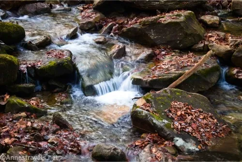 Small cascades over mossy rocks covered in fall leaves