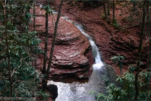 A waterfall flows between rock layered, leaf-covered banks into a pool in a forest