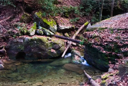 A pool in a stream beside boulders covered in autumn leaves