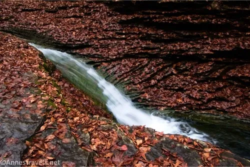 A waterfall cascading between leaf-covered rock shelves