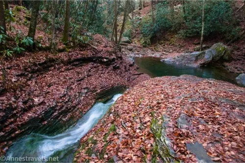 A waterfall/stream rushes in a narrow channel through a rock covered in autumn leaves into a pool in a forest