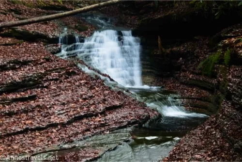 A waterfall tumbles down into a narrow creek between rock ledges covered in leaves