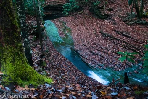 A green stream below autumn leaf covered rocky ledge banks