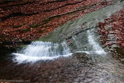 A short waterfall cascades over rock ledges into a pool, with autumn leaves surrounding the stream