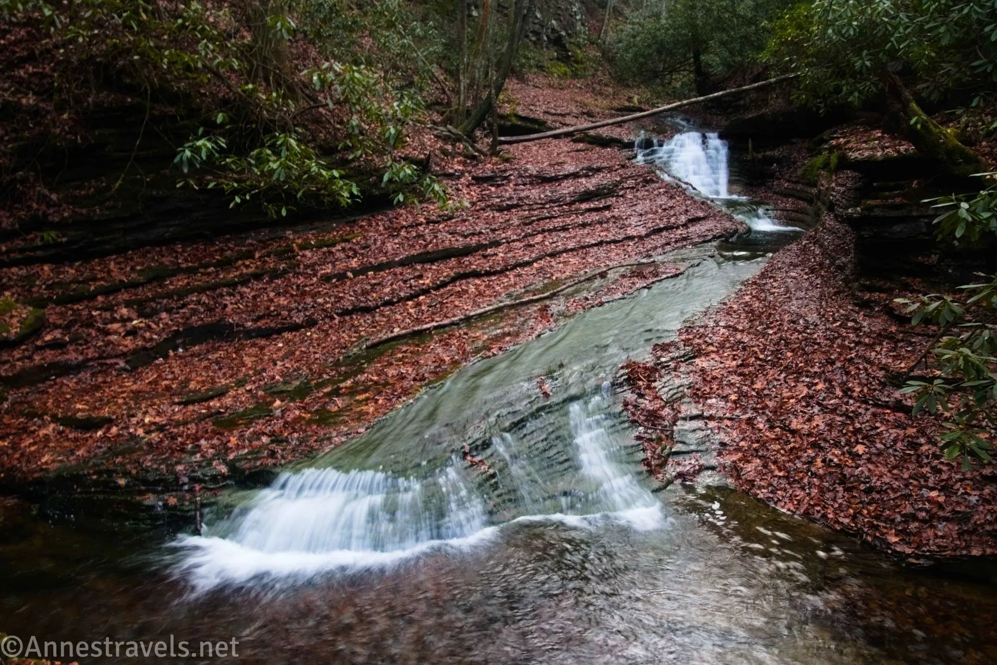 Waterfalls tumble between colorful leaf-covered banks of rock layers below a forest