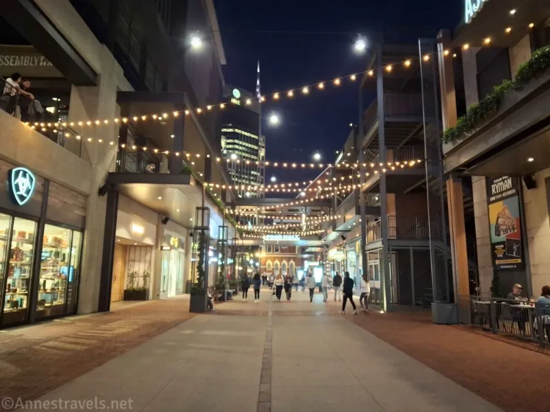 Lights strung across an alley between shops 