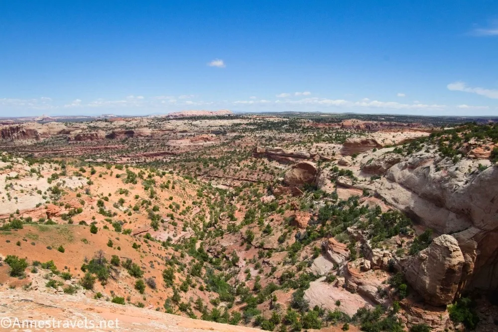 Blue skies above the desert