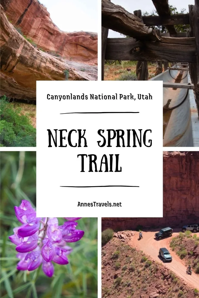 Neck Spring Trail in Canyonlands National Park, Utah