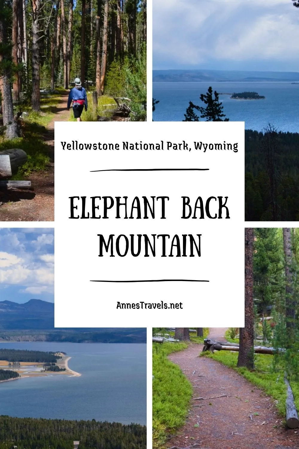 How to hike Elephant Back Mountain in Yellowstone National Park, Wyoming 