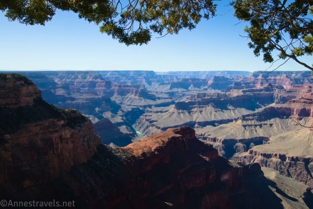 Tree branches above views of the Grand Canyon including the red top of a ridge