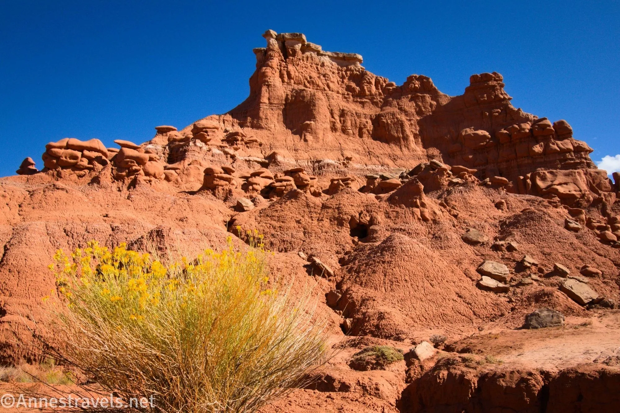 A yellow bush in front of a red butte with hoodos