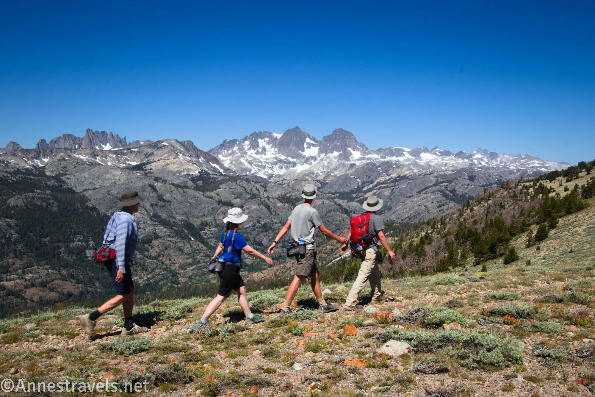 Four hikers in a meadow hiking a trail and looking at distant snowy mountains