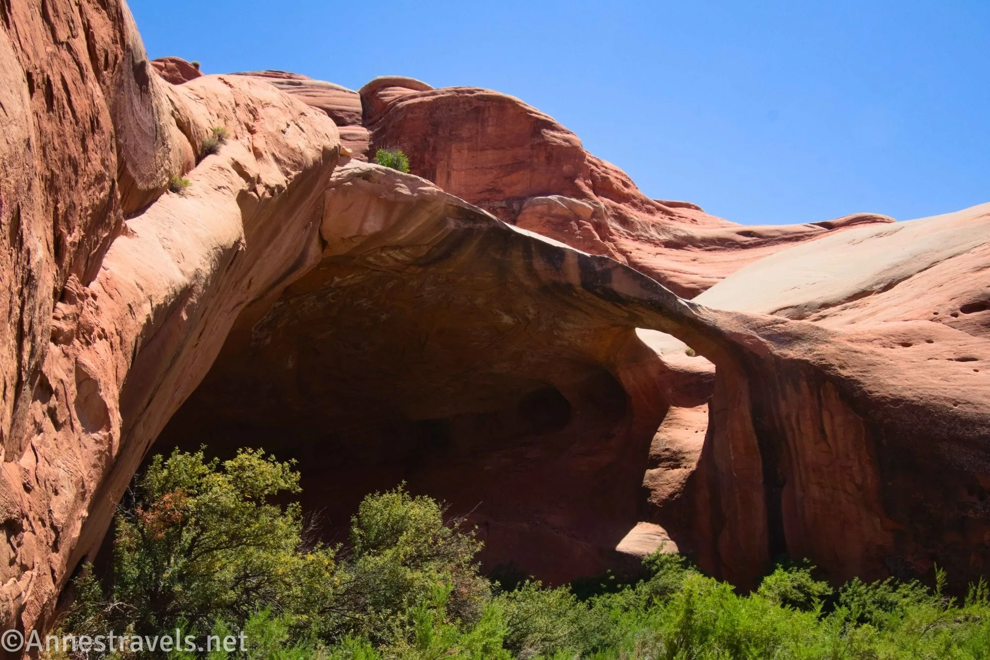 A hole in the top of a shadowed alcove in a red rock allows light to shine through with green bushes in the foreground
