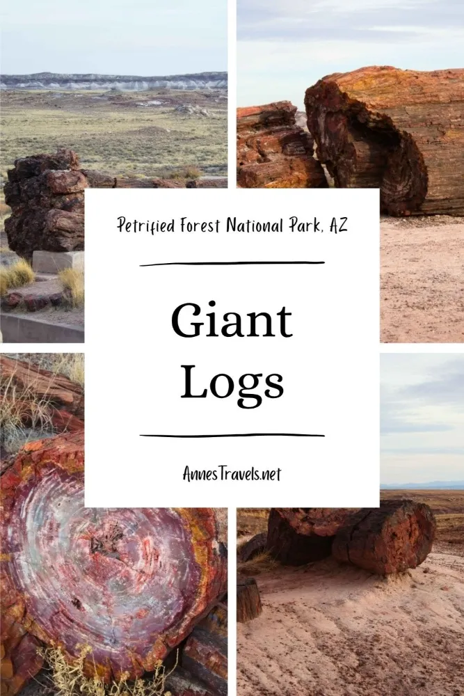 Photo collage showing scenes from the Giant Logs Trail in Petrified Forest National Park, Arizona
