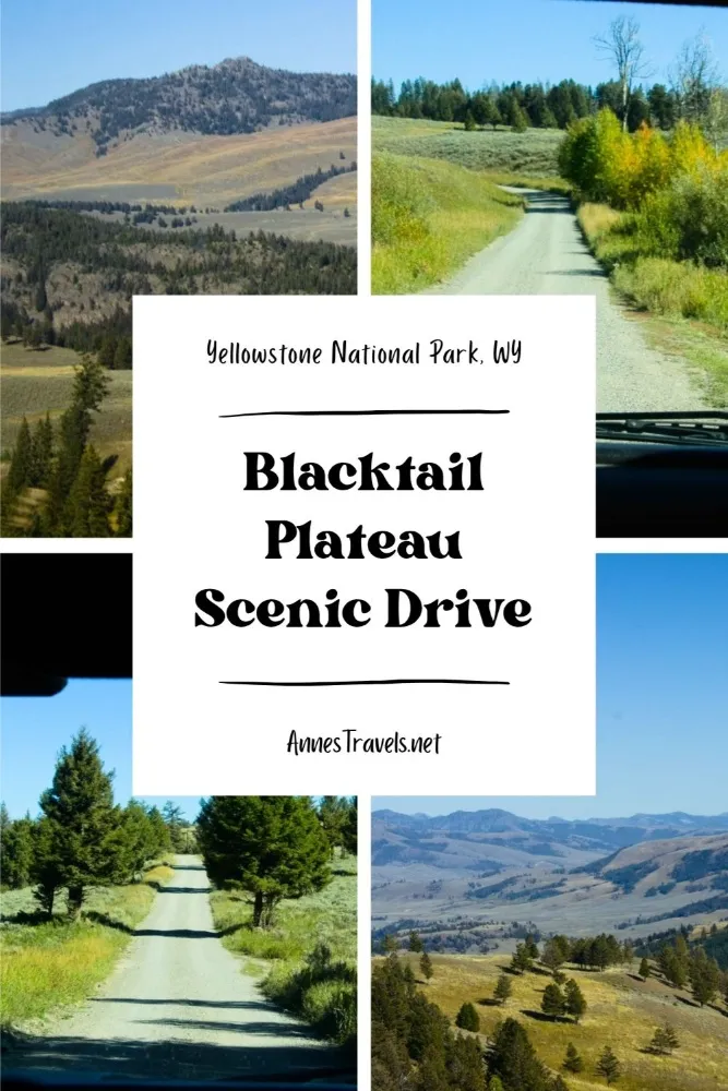 Photo collage of views along the Blacktail Plateau Scenic Drive in Yellowstone National Park, Wyoming