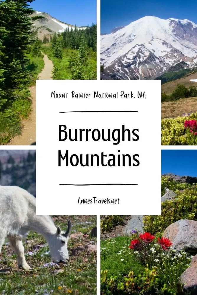 Photo collage of the views along the Burroughs Mountains Trail in Mount Rainier National Park, Washington 
