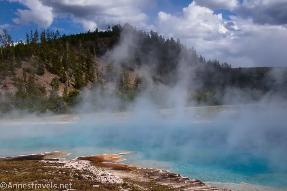 The blue pool of Excelsior Geyser in front of a tree-covered hillside in the Midway Geyser Basin of Yellowstone National Park