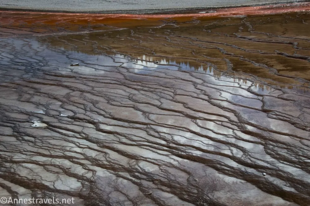 Water in small pools beside the Grand Prismatic Spring in Yellowstone National Park