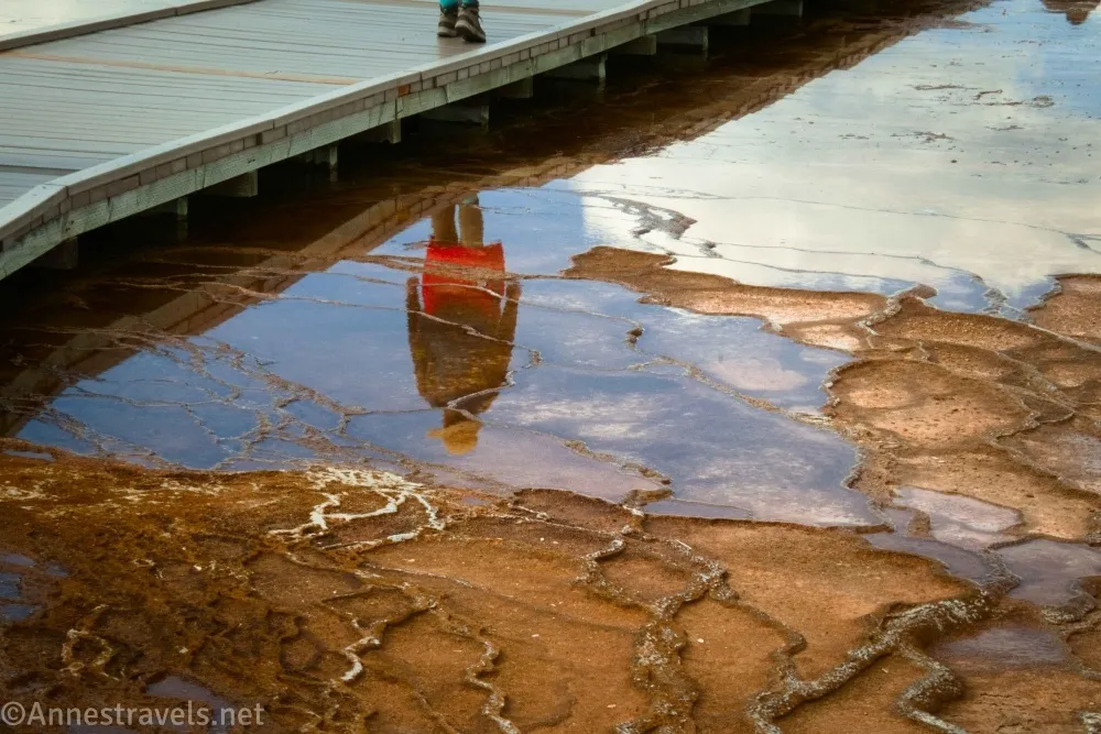 Reflections of a woman in a red dress, black jacket, and tan hat in a pool of water beside the boardwalk near the Grand Prismatic Spring in Yellowstone National Park
