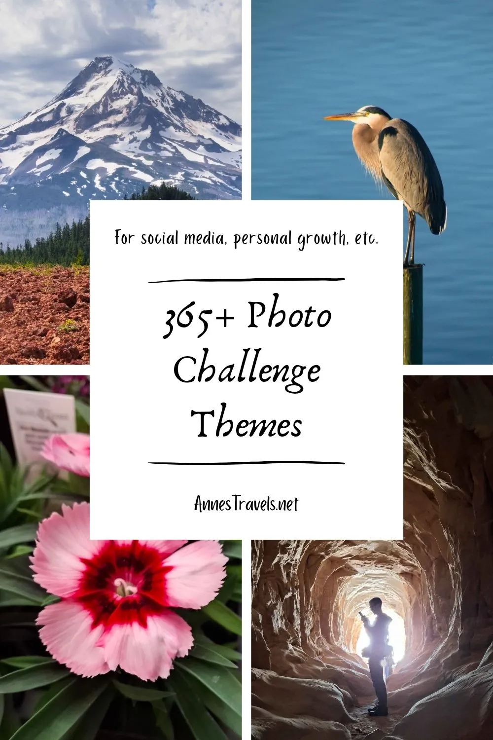 Photo collage with images relating to 365+ photo challenge themes